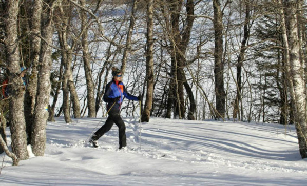 Aventure au cœur d’une nature préservée avec le ski de randonnée nordique- © Montagnes du Jura