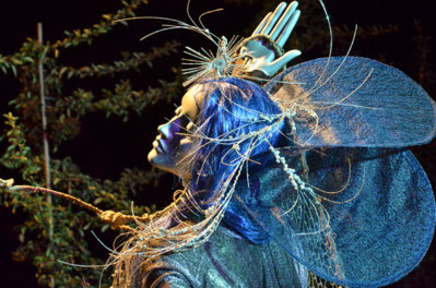 La Forêt enchantée - © David Raynal La Forêt enchantée - © David Raynal