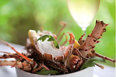 Maldives : Gastrology au Beach Houser Iruveli