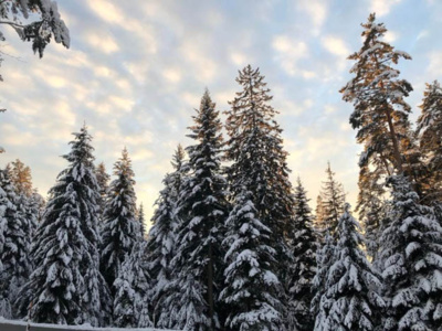 Expérience raquettes en Forêt-Noire dans le Bade-Wurtemberg