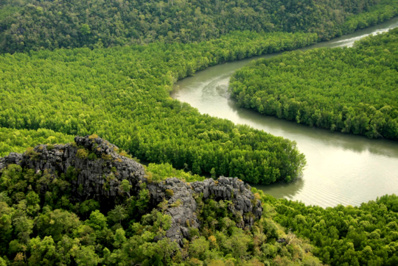 Raid Amazones en Malaisie (Vidéo) Raid Amazones en Malaisie (Vidéo)