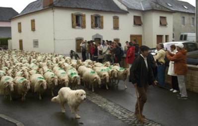 Fête des bergers dans le village d'Aramits, en vallée de Barétous - © MC Calmettes