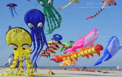 Grand retour des Rencontres Internationales de Cerfs Volants de Berck-sur-Mer