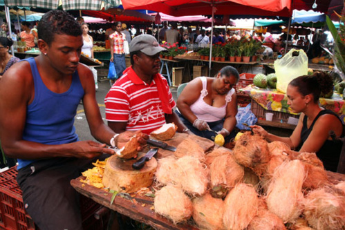 © David Raynal © David Raynal