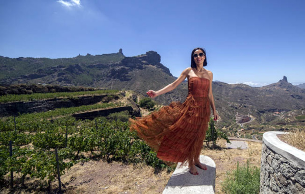 Canaries : la révolution au féminin dans les Bodegas