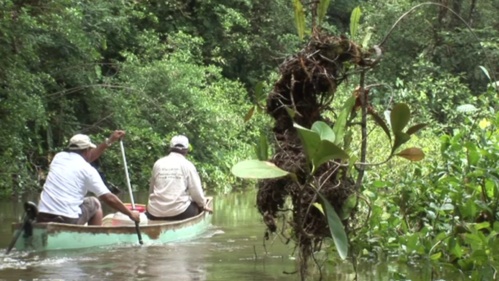 Guyane, destination à vivre (Vidéo)