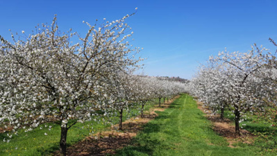 Cyclistes... tous en selle pour parcourir la Meuse ! Cyclistes... tous en selle pour parcourir la Meuse !