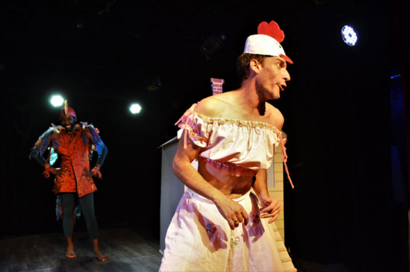 La poule Gigi cancane et jase comme le merle, avant de caqueter en rythme du croupion. © David Raynal
