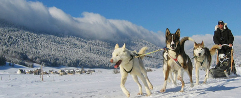 Skier en décalé, c'est la liberté en Isère Skier en décalé, c'est la liberté en Isère