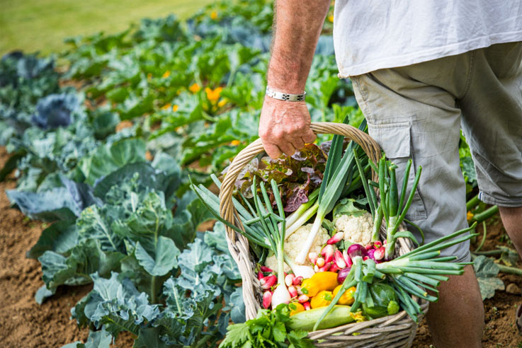 Relais et Châteaux : du potager à la table des gourmets