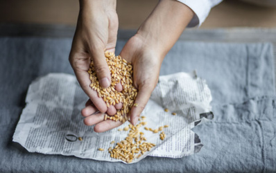 © Leonardo Mariani © Leonardo Mariani