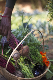 Relais et Châteaux : du potager à la table des gourmets