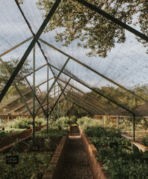 Relais et Châteaux : du potager à la table des gourmets