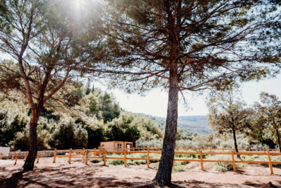 © Maslina Resort © Maslina Resort