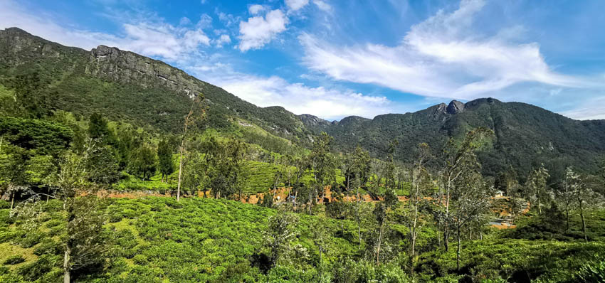 Sri Lanka, unique et incontournable