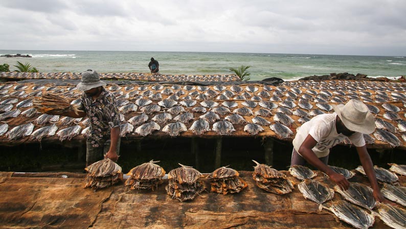 Sri Lanka, unique et incontournable