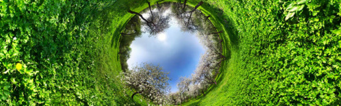 9,7 milliards d’êtres humains devraient être nourris à l’horizon 2050 9,7 milliards d’êtres humains devraient être nourris à l’horizon 2050