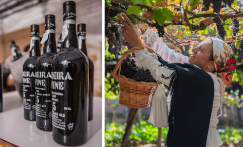 © Francisco Correia © Francisco Correia