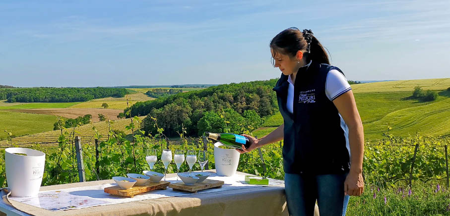 La Côte des Bar en Champagne