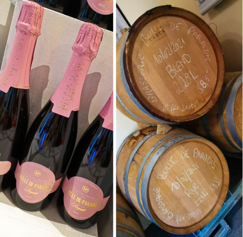 © Dominique Marché © Dominique Marché