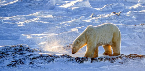 © Exploris © Exploris