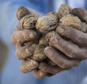 Visuel officiel - © Eduardo Torres Visuel officiel - © Eduardo Torres