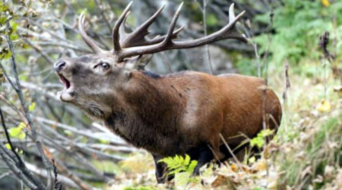 © Chartreuse-Tourisme © Chartreuse-Tourisme