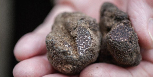 © Chartreuse-Tourisme © Chartreuse-Tourisme