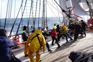 L'équipage à la manoeuvre - © Loïc Bailliard / Hermione-Lafayette