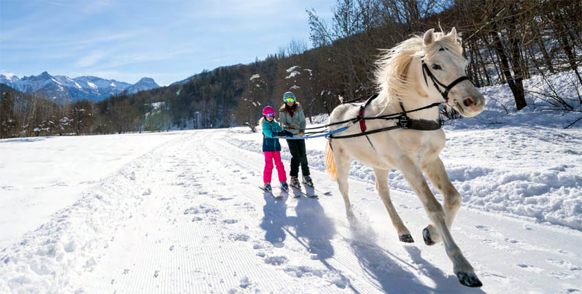 Ski Joering - © R. Van-Rijn