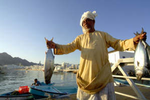 Marché aux poissons de Muttrah - © Oman Tourisme