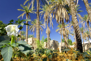 Massif du Hajjar - © Oman Tourisme Massif du Hajjar - © Oman Tourisme