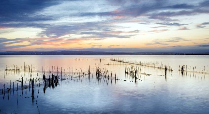 Le lac de l'Albufera - © Visit Valencia