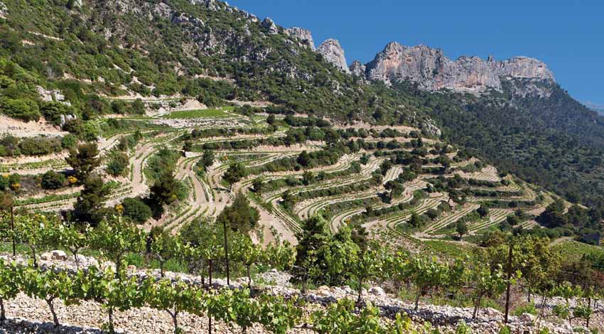 © Domaine Brusset © Domaine Brusset