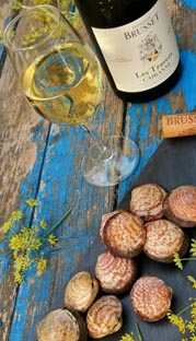 Domaine Brusset, une histoire de famille