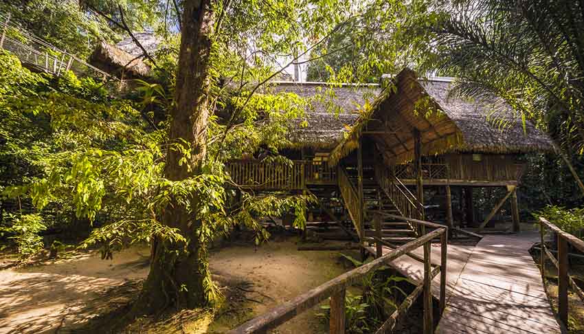 Camp CanopeeCamp Saut Leodate - © A.BRUSINI - CTG Camp CanopeeCamp Saut Leodate - © A.BRUSINI - CTG