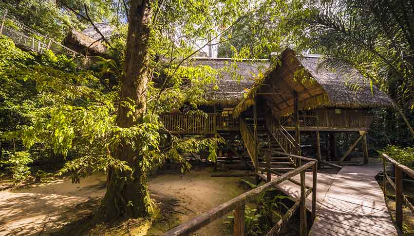 Camp CanopeeCamp Saut Leodate - © A.BRUSINI - CTG