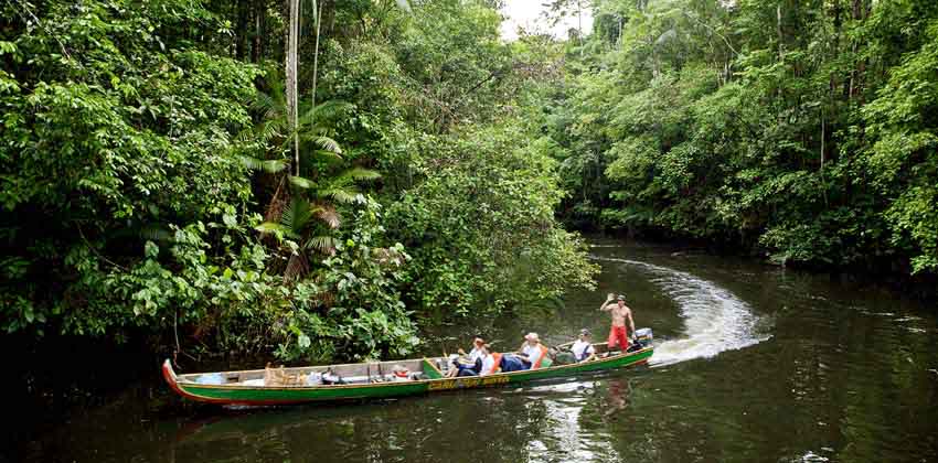 Découvrez la Guyane à la 