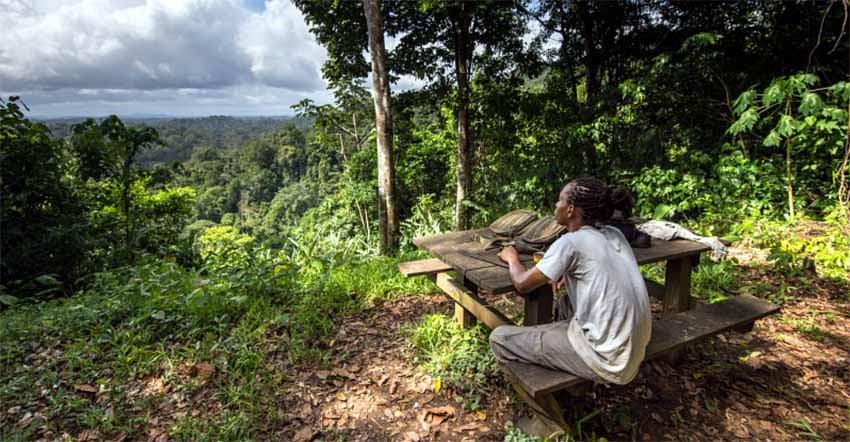 Découvrez la Guyane à la 