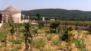 Le Champagne Gremillet, une histoire de famille Le Champagne Gremillet, une histoire de famille