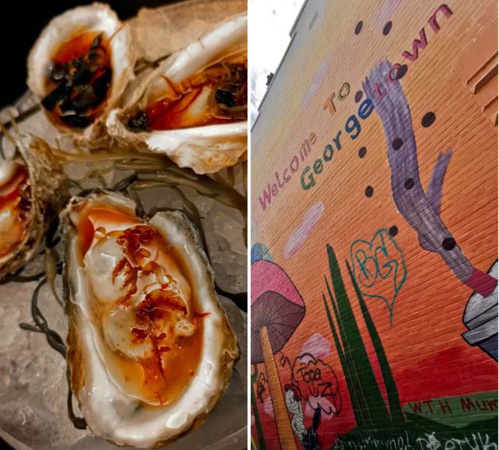 © Dominique Marché © Dominique Marché