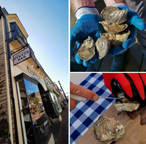 © Dominique Marché © Dominique Marché