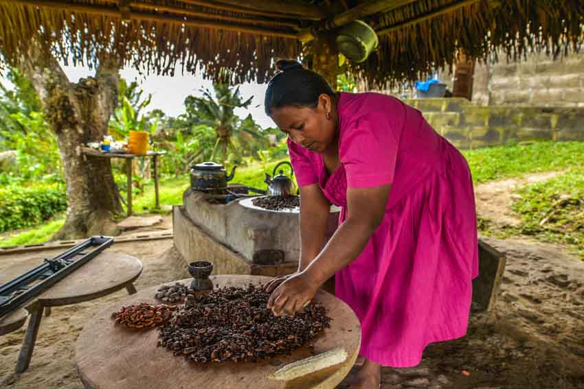 Le chocolat, tradition ancestrale - © Travelbelize Le chocolat, tradition ancestrale - © Travelbelize