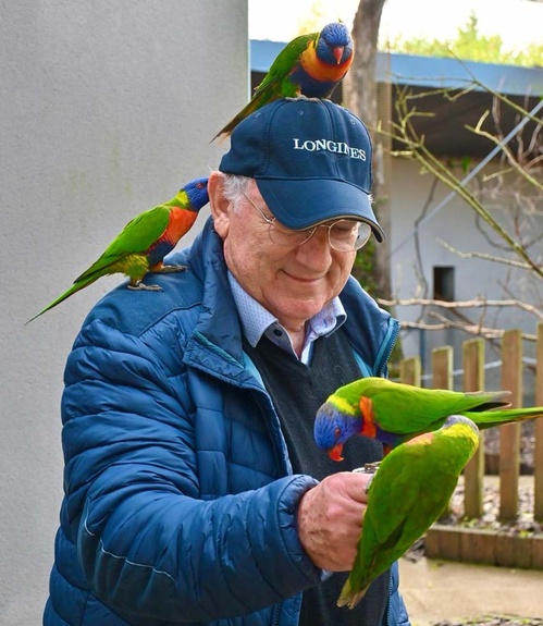 Les loris en pleine action - © Florence Béréziat Les loris en pleine action - © Florence Béréziat