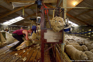 © JB Rabouan © JB Rabouan