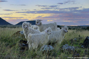 © JB Rabouan © JB Rabouan