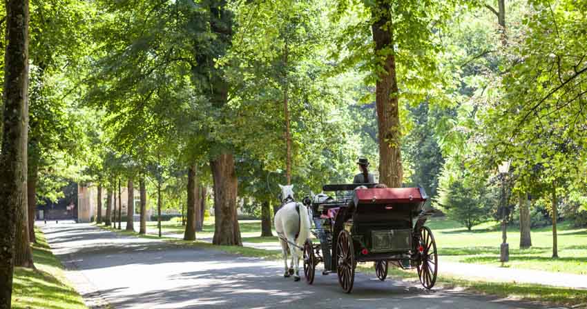 Promenade en calèche, Lichtentaler Allee - © Baden-Baden Kur & Tourismus GmbH Promenade en calèche, Lichtentaler Allee - © Baden-Baden Kur & Tourismus GmbH