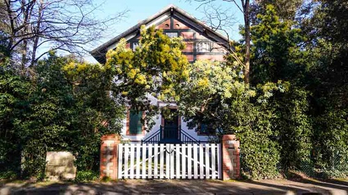 Mimosa - Bois de la Chaise - Noirmoutier-en-l'île - © Quentin Boulegon Mimosa - Bois de la Chaise - Noirmoutier-en-l'île - © Quentin Boulegon
