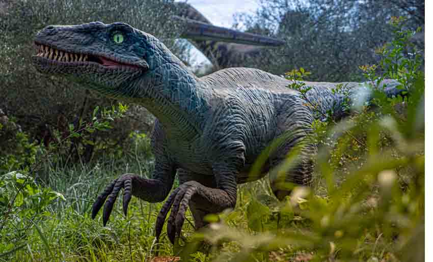 © Dinosaurland © Dinosaurland