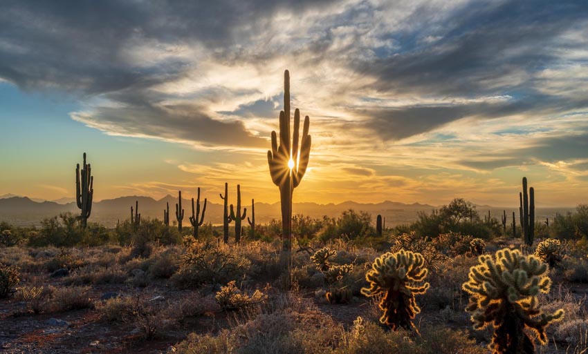 Le pittoresque désert de Sonora à Scottsdale - © Eric Mischke for Experience Scottsdale Le pittoresque désert de Sonora à Scottsdale - © Eric Mischke for Experience Scottsdale